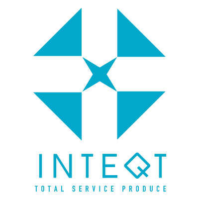 株式会社 INTEQT